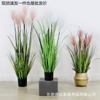 uploads/erp/collection/images/Home Garden/dgjiawang/XU0613058/img_b/XU0613058_img_b_1